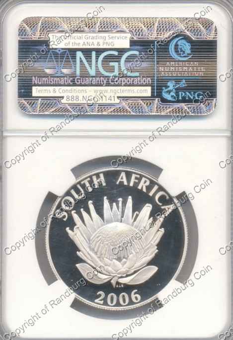 2006_R1_tutu_PF_69_Slabbed_rev.jpg