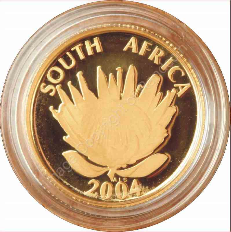 1994-2004_Mandela_Tenth_Gold_Dem_Launch_ob