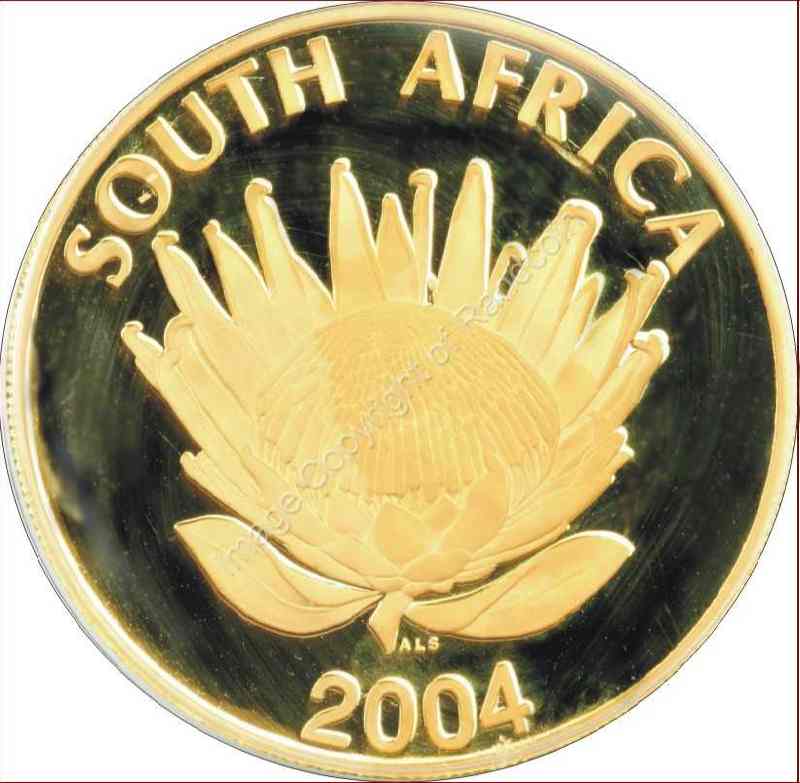 2004_R25_1oz_Gold_Mandela_Ten_Yr_Ann_coin_ob