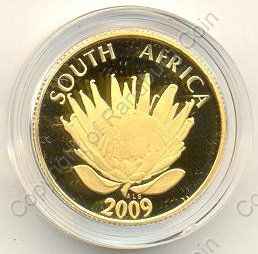 2009_R5_1tenth_oz_Nationl_Anthem_Protea_Coin_rev