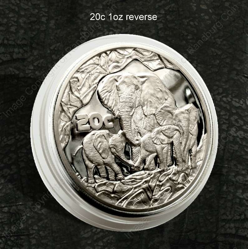 2004_SA_Silver_1oz_20c_Big_Five_X5_Coin_Set_in_Hide_Wallet_Elephant_2002_rev