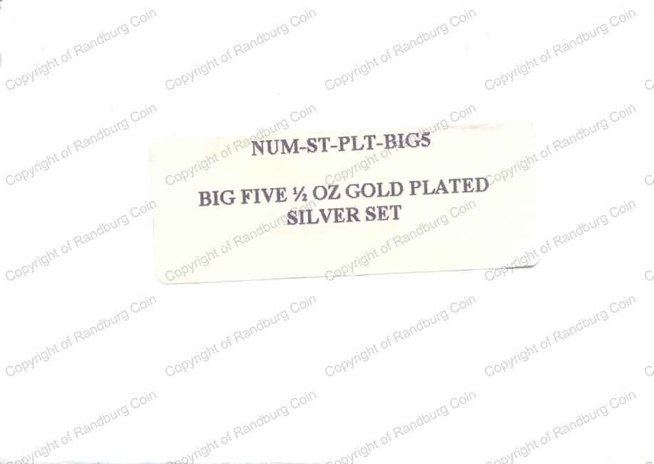 SA_GP_Silver_Proof_Big5_Medallion_Set_Box_Ba.jpg
