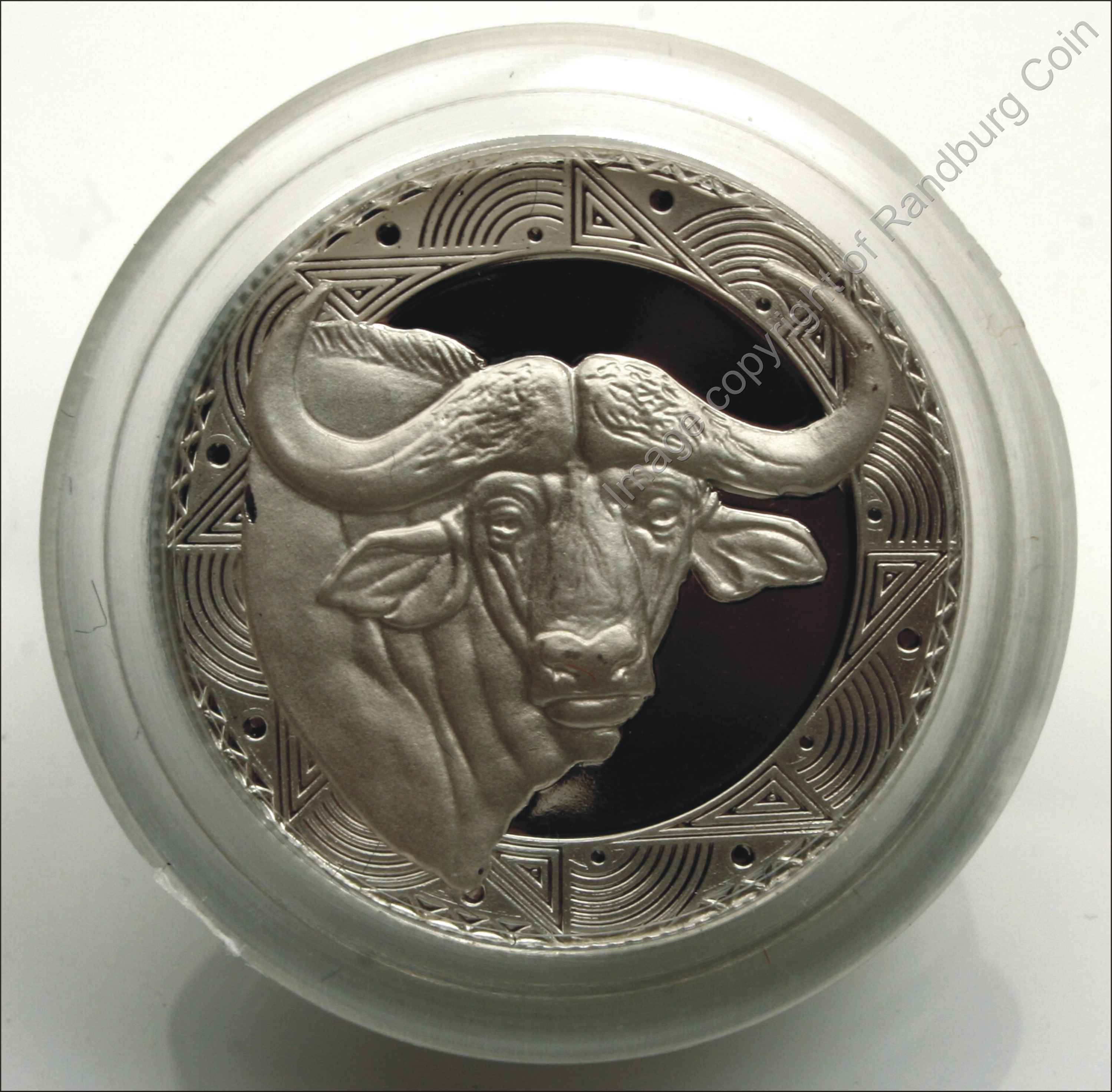 SA_Silver_Proof_Big5_Medallion_Buffalo_ob