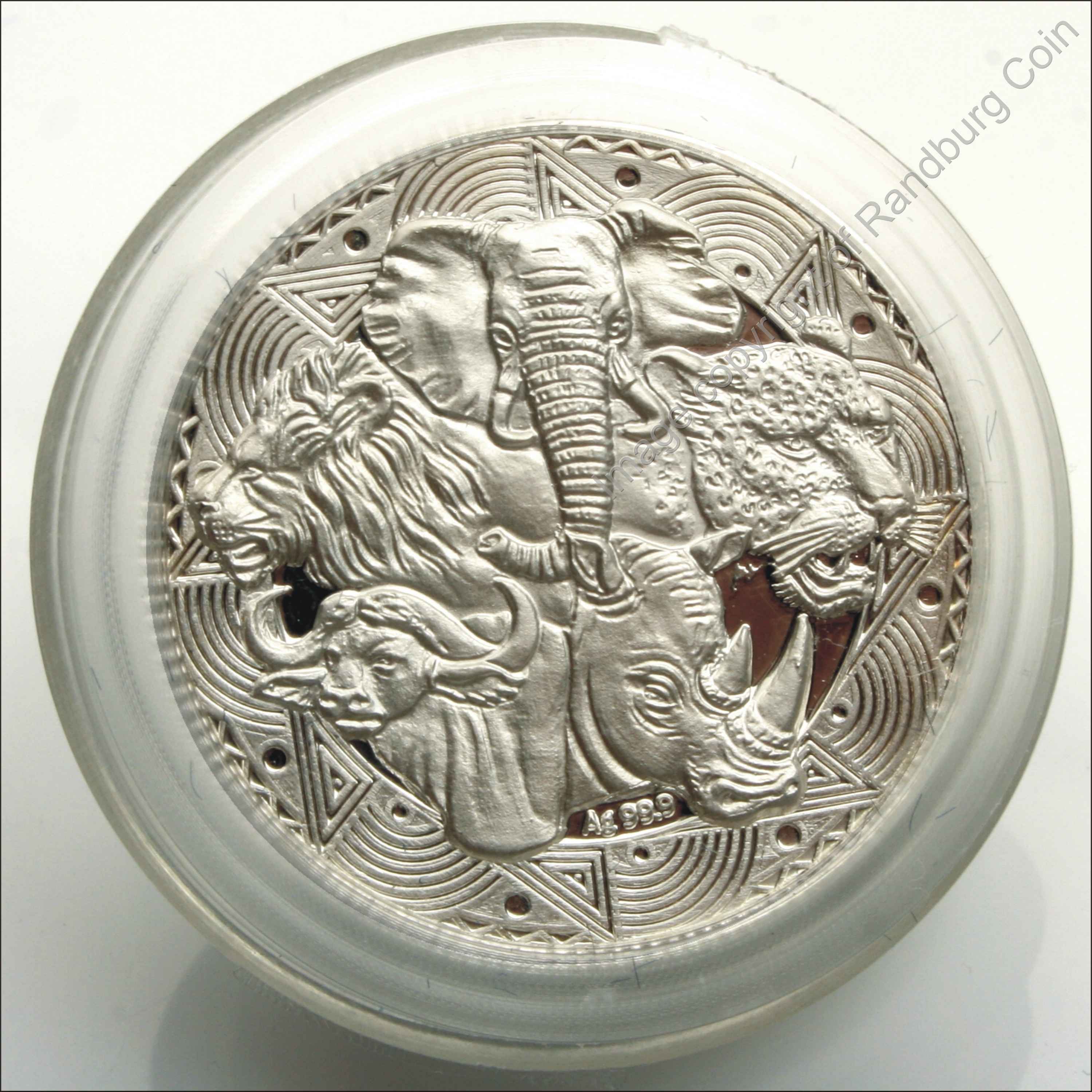 SA_Silver_Proof_Big5_Medallions_rev