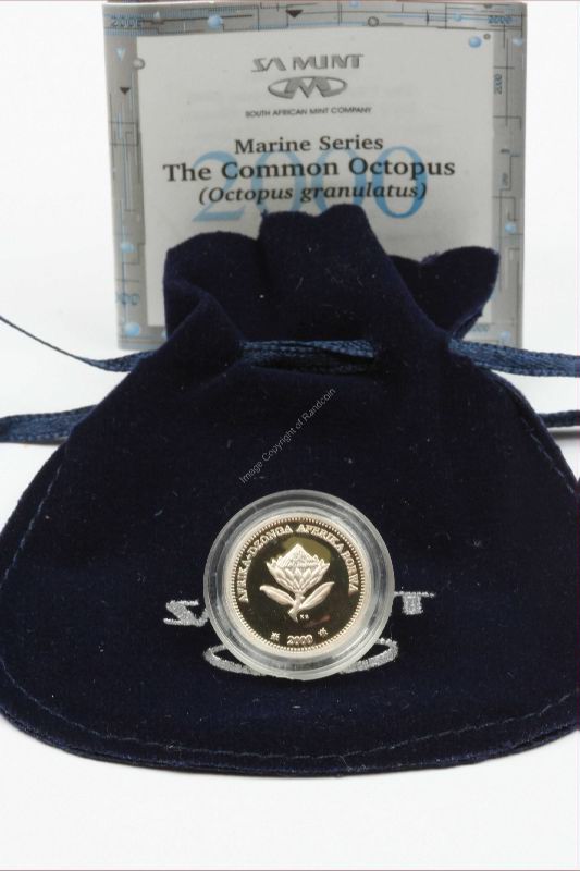 2000_Silver_2_Half_cent_Octopus_velvet_ob