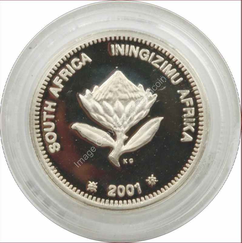 2001_Silver_2_Half_cent_Dolphin_coin_ob
