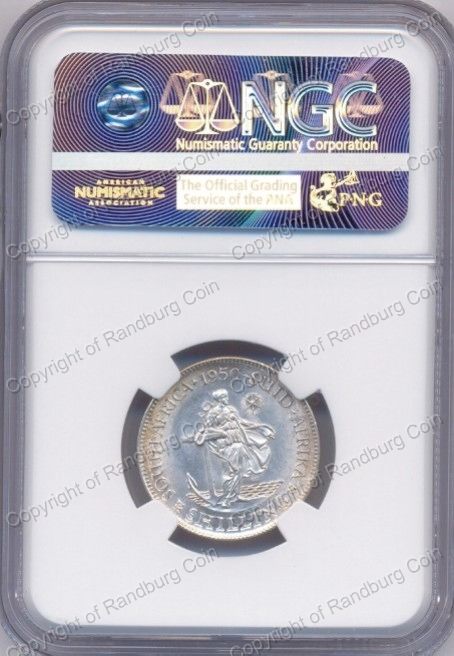 1950_SA_Shilling_AU58_rev.jpg