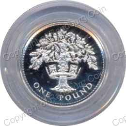 Great_Britain_1987_Silver_proof_ 1_pound_rev.jpg