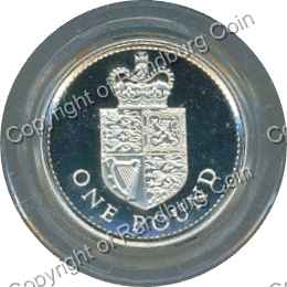 Great_Britain_1988_Silver_proof_ 1_pound_rev.jpg