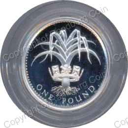 Great_Britain_1990_Silver_proof_1_pound_coin_rev.jpg