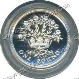 Great_Britain_1991_Silver_proof_1_pound_coin_rev.jpg