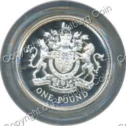 Great_Britain_1993_Silver_proof_1_pound_coin_rev.jpg