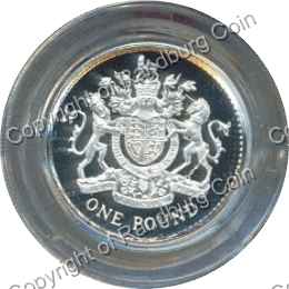 Great_Britain_1993_Silver_proof_Piedfort_1_pound_coin_rev.jpg