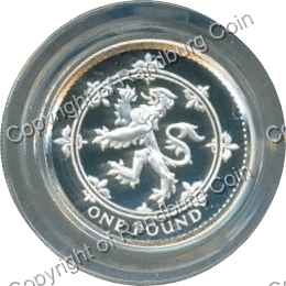 Great_Britain_1994_silver_proof_Piedfort_one_pound_coin_rev.jpg