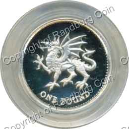Great_Britain_1995_silver_proof_Piedfort_one_pound_coin_rev.jpg