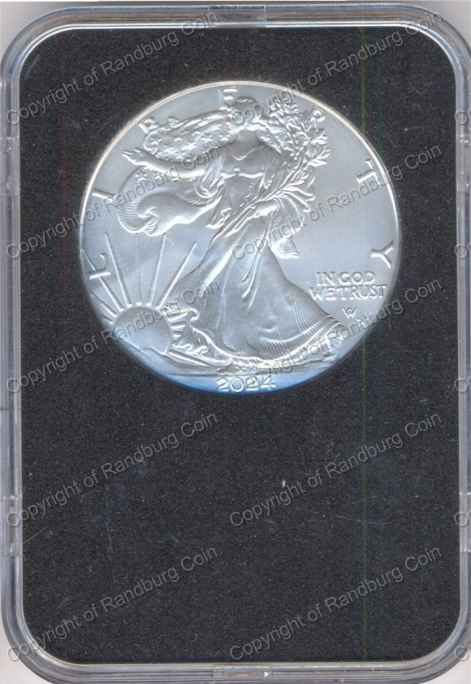 USA_2024_UNC_Silver_1_Dollar_rev.jpg