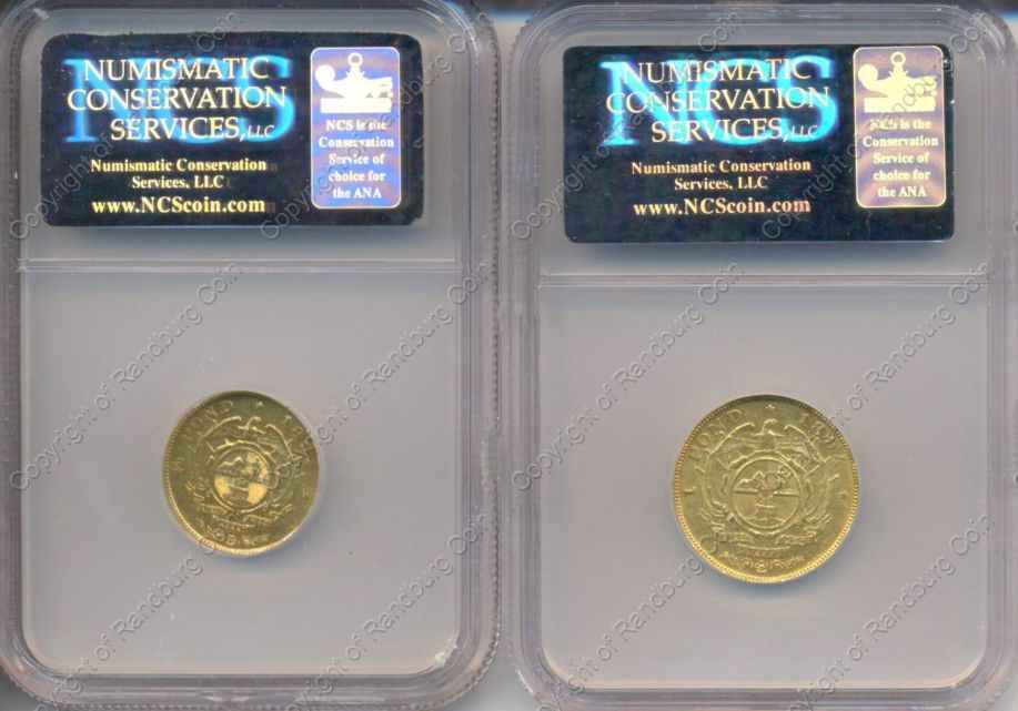 1894_ZAR_Gold_Pair_AU_Det_Clnd_rev.jpg