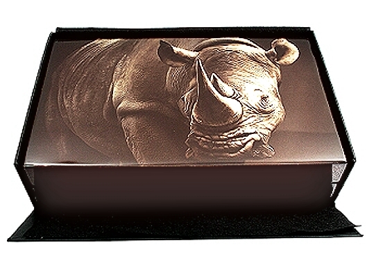 2020 Twin 1oz Fine Silver Proof R5 Big Five Series Rhino Coin Set Double Capsule box