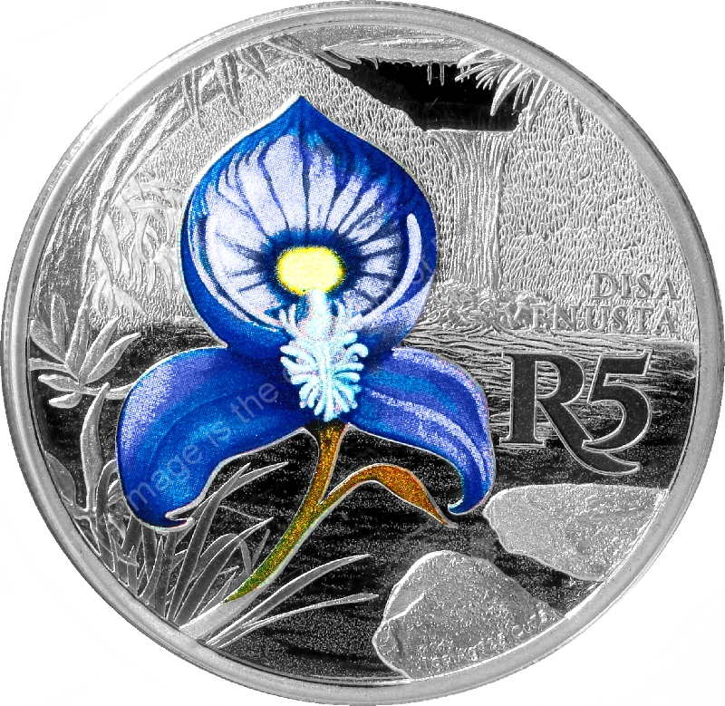 2016 R5 1oz Sterling Silver color Blue Bearded Disa Kogelberg Biosphere coin rev
