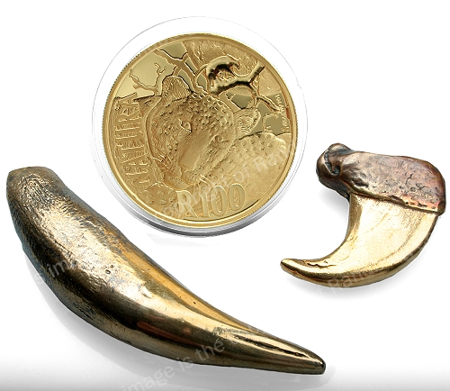 2014_Gold_1oz_24ct_The_Leopard_Natura_Launch_MMark_Nocturnal_Hunters_Series_Bronze_claw_and_tooth_replica