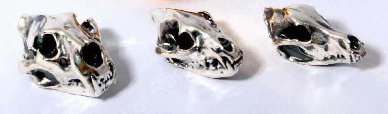 2016 1oz Gold Proof Natura Hyena Mintmark Launch Set silver skulls