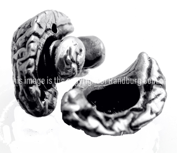 2018 R2 Silver Crown and Tickey Computed Tomography Catscan Set brain3