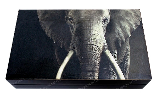 2019 Twin 1oz Fine Silver Proof R5 Big Five Series Elephant Coin Set presentation box