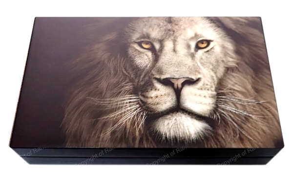 2019 Twin 1oz Fine Silver Proof R5 Big Five Series Lion Coin Set box