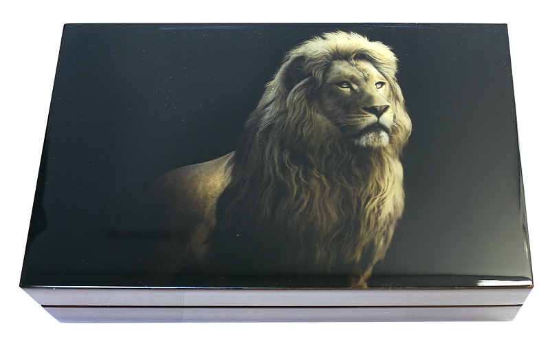 2022 Twin 1oz Fine Silver Proof R5 Big Five Series II Lion Coin Set closed box