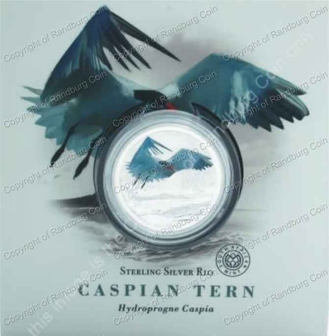 2017_Silver_R10_Colour_Crown_Caspian_Tern_Cert_front