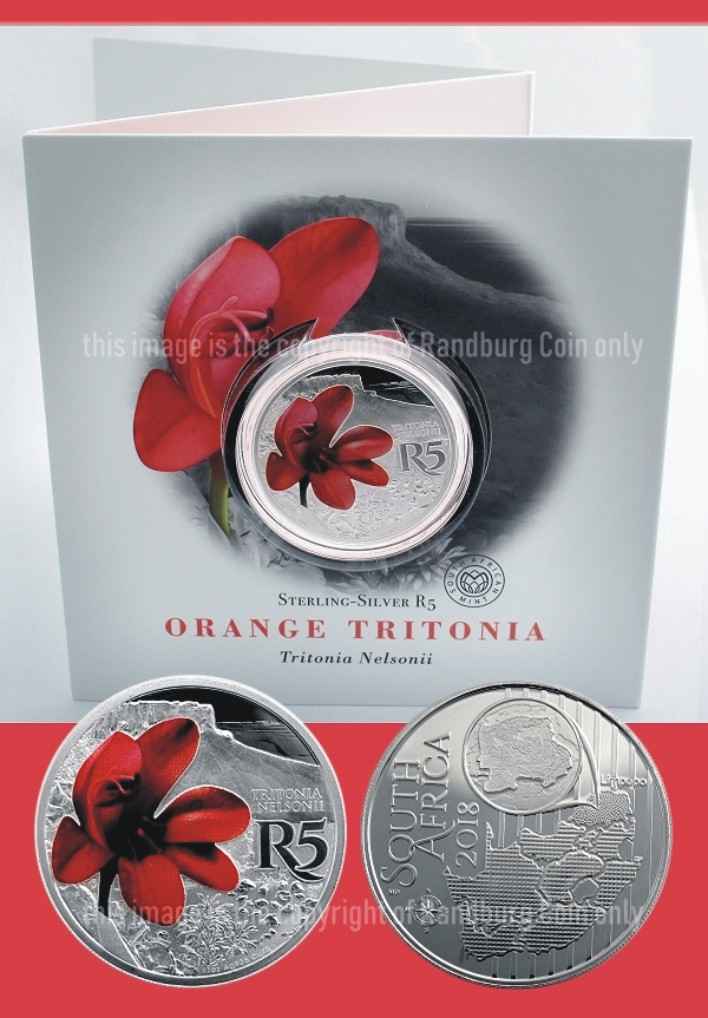 2018_Stg-R5_Man_Biosphere_Waterberg_Biosphere_Reserve_Orange_Tritonia.JPG