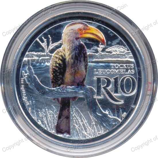 2019_R10_1oz_Sterling_Silver_Colour_Crown_Yellow-Billed_Hornbill_Coin_ob