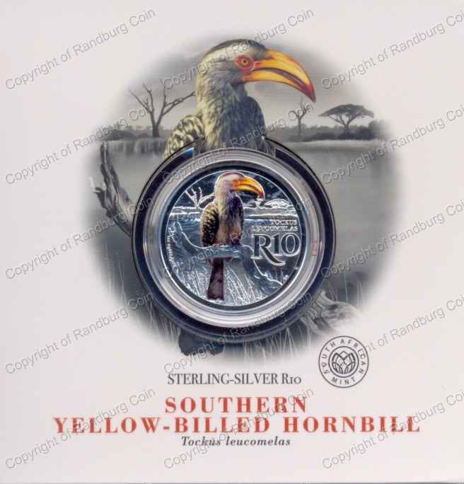 2019_R10_1oz_Sterling_Silver_Colour_Crown_Yellow-Billed_Hornbill_Holder