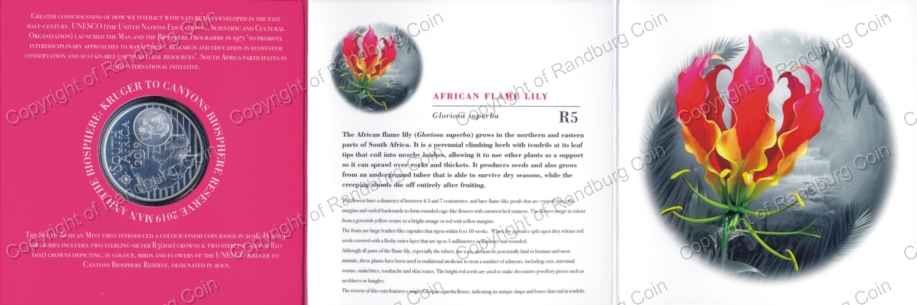 2019_R5_1oz_Sterling_Silver_Colour_Crown_African_Flame_Lily_Holder_In