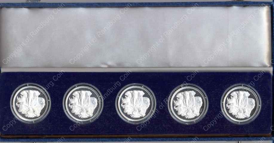 Big_5_1oz_Silver_Medallion_Set_Box_rev.jpg