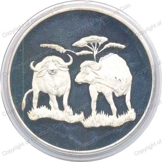 Big_5_Silver_1oz_Buffalo_Cape_Mint_ob.jpg