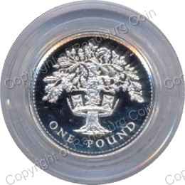 Great_Britain_1987_Silver_proof_