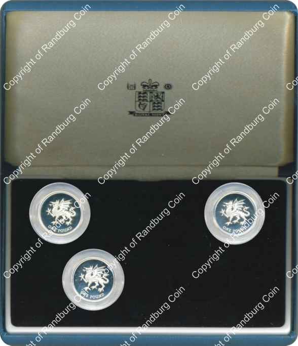 Great_Britain_1995_4-coin_Silver_Proof_1_pound_set_missing_coin_box_rev.jpg