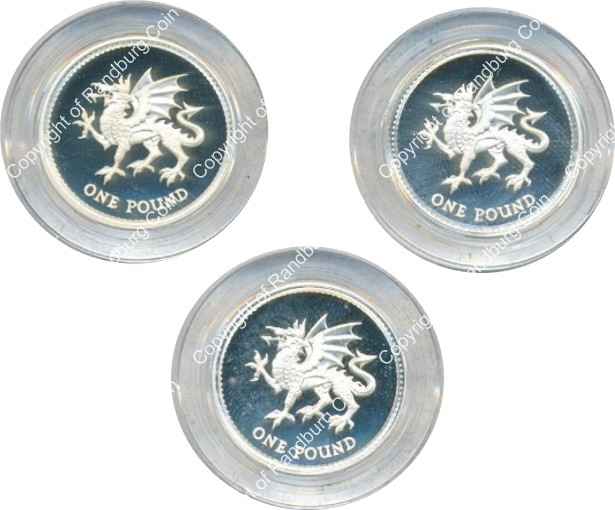 Great_Britain_1995_4-coin_Silver_Proof_1_pound_set_missing_coin_coins_rev.jpg